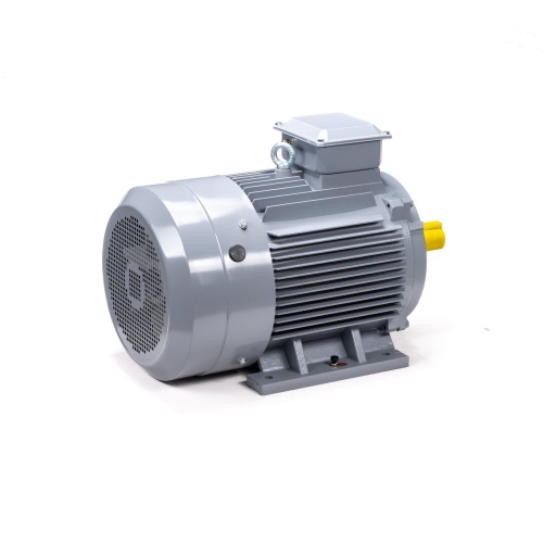 Эл.двигатель ESQ PR 200 L2 GST-Б1-S12-IE2 45/3000 IM 1001 фото 5