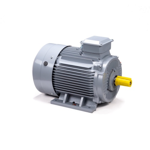 Эл.двигатель ESQ PR 200 L2 GST-Б1-S12-IE2 45/3000 IM 1001 фото 3