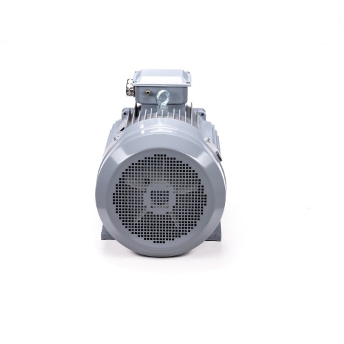 Эл.двигатель ESQ PR 200 L2 GST-Б1-S12-IE2 45/3000 IM 1001 фото 7