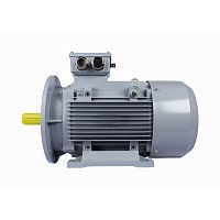 Эл.двигатель ESQ PR 112 MA2-SDN-Б1-S12-IE3 4/3000 IM B35