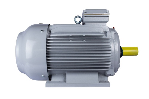 Эл.двигатель ESQ PR 315 M2-SDN-Б1-S12-IE3 132/3000 IM B3 фото 4