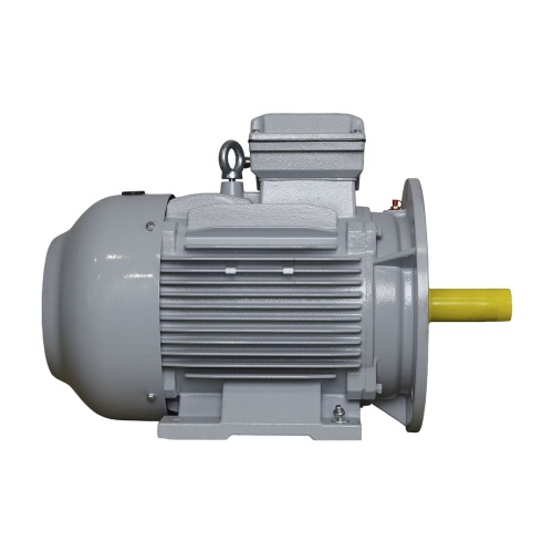 Эл.двигатель ESQ PR 160 L2-SDN-Б1-S12-IE2 18.5/3000 IM B35 фото 3