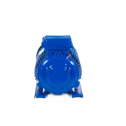 Эл.двигатель 5МТКН 225 L6 55/1000  IM 1003 фото 7