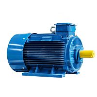Эл.двигатель 5АИ 280 S6 75/1000 IM 1001