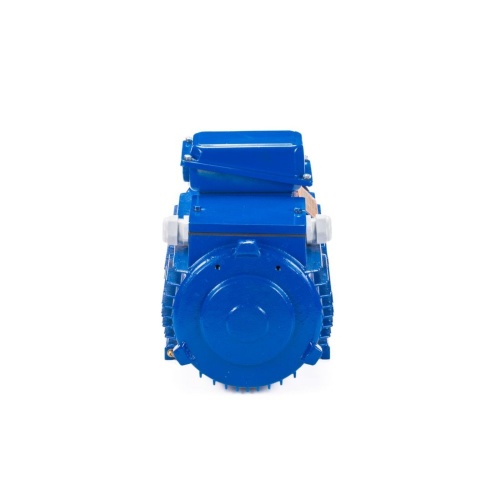 Эл.двигатель 5МТН 711-10 110/600  IM 1004 фото 7