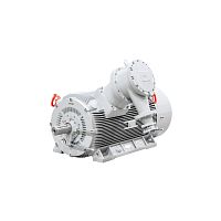 Эл.двигатель ДАЗО4 400 Y4 У1 6000В IP54 500/1500  IM 1001