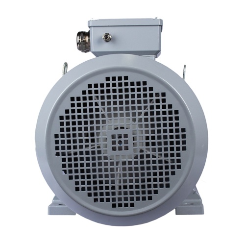 Эл.двигатель ESQ PR 112 MA2-SDN-Б1-S12-IE3 4/3000 IM B35 фото 5