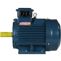 Эл.двигатель 5АИ 100 L2 ET 5.5/3000  IM 1081