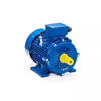 Эл.двигатель ESQ 112 M2-GST-HT-H-T2 7.6/3000  IM 1081