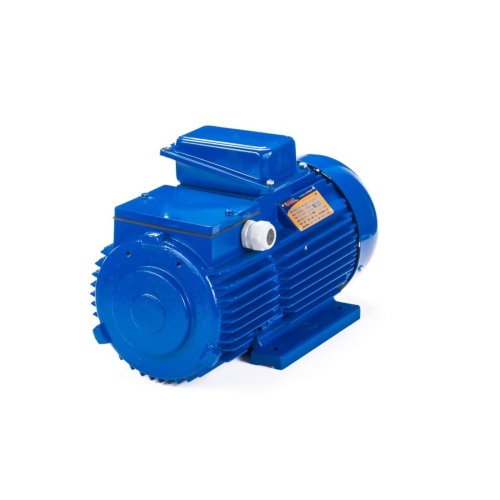 Эл.двигатель 5МТН 711-10 110/600  IM 1004 фото 6