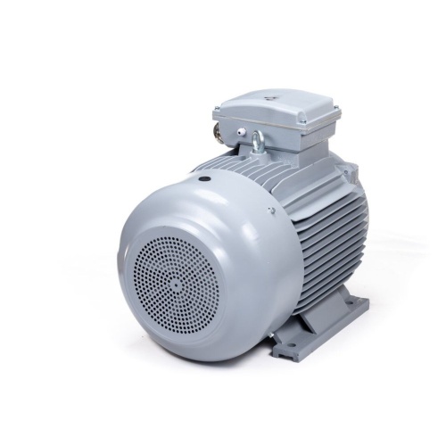 Эл.двигатель ESQ PR 200 LB2-SDN-Б1-S12-IE2 37/3000 IM B3 фото 5