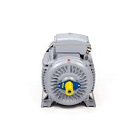Эл.двигатель ESQ PR 200 LB2-SDN-Б1-S12-IE2 37/3000 IM B3