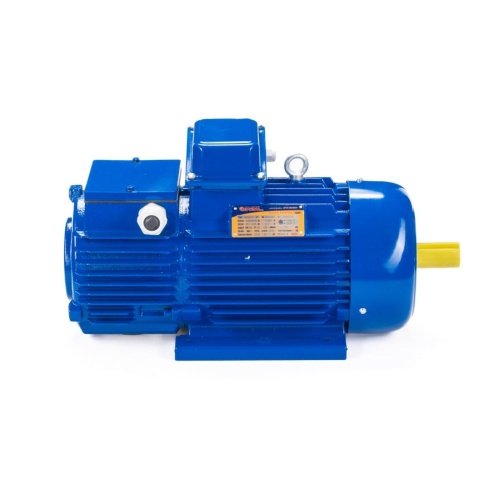 Эл.двигатель 5МТН 711-10 110/600  IM 1004 фото 4