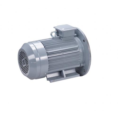 Эл.двигатель ESQ PR 180 S2 GST-Б1-S12-IE2 22/3000 IM 2001 фото 5
