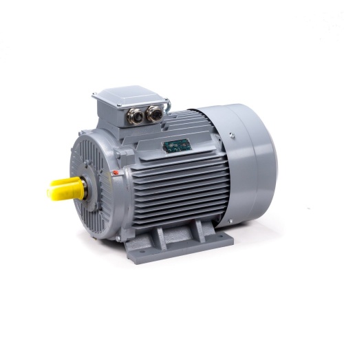 Эл.двигатель ESQ PR 200 L2 GST-Б1-S12-IE2 45/3000 IM 1001 фото 11