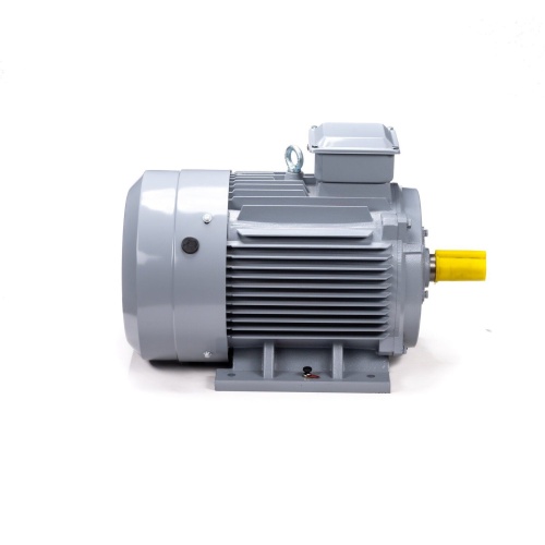 Эл.двигатель ESQ PR 200 L2 GST-Б1-S12-IE2 45/3000 IM 1001 фото 4