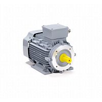 Эл.двигатель ESQ PR 80 A4-SDN-Б1-S12-IE2 0.55/1500 IM B34