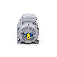Эл.двигатель ESQ PR 280 M4-SDN-Б1-S12-IE2 90/1500 IM B3