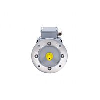 Эл.двигатель ESQ PR 250 M6-SDN-Б1-S12-IE3 37/1000 IM B35
