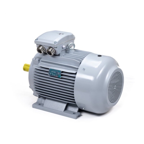 Эл.двигатель ESQ PR 200 LB2-SDN-Б1-S12-IE2 37/3000 IM B3 фото 7