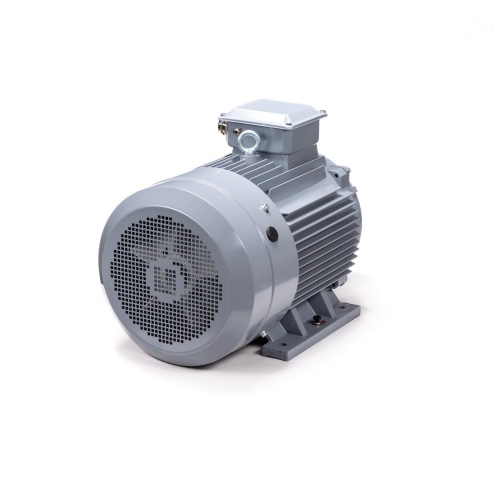 Эл.двигатель ESQ PR 200 L2 GST-Б1-S12-IE2 45/3000 IM 1001 фото 6