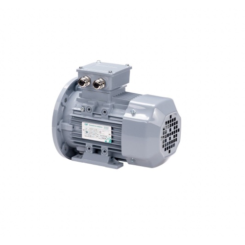 Эл.двигатель ESQ PR 250 M6-SDN-Б1-S12-IE3 37/1000 IM B35 фото 9