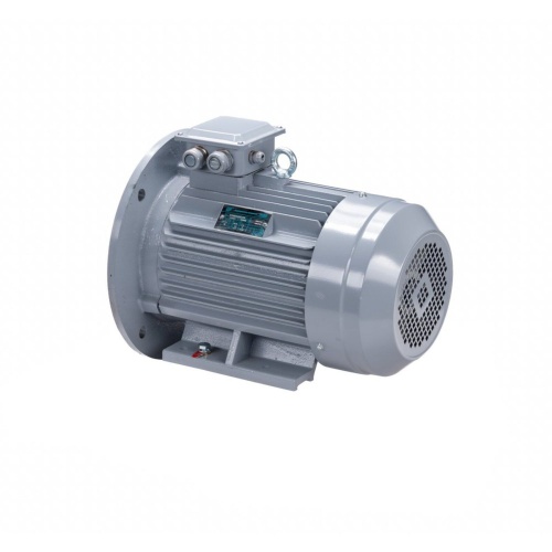 Эл.двигатель ESQ PR 100 L6 GST-Б1-S12-IE2 2.2/1000 IM 2081 фото 9
