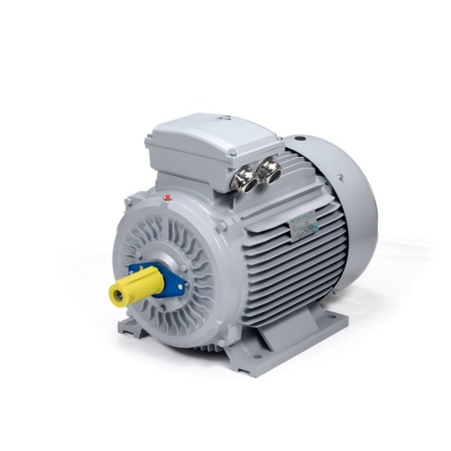 Эл.двигатель ESQ PR 200 LB2-SDN-Б1-S12-IE2 37/3000 IM B3 фото 3