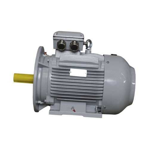 Эл.двигатель ESQ PR 160 L2-SDN-Б1-S12-IE2 18.5/3000 IM B35 фото 6