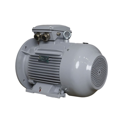 Эл.двигатель ESQ PR 160 L2-SDN-Б1-S12-IE2 18.5/3000 IM B35 фото 7