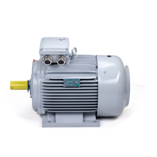 Эл.двигатель ESQ PR 280 M4-SDN-Б1-S12-IE2 90/1500 IM B3 фото 8