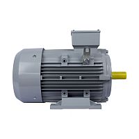 Эл.двигатель ESQ PR 160 L2-SDN-Б1-S12-IE3 18.5/3000 IM B3