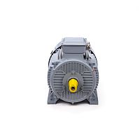 Эл.двигатель ESQ PR 200 L2 GST-Б1-S12-IE2 45/3000 IM 1001
