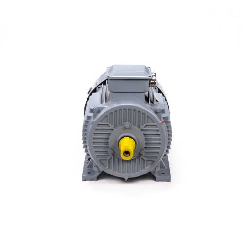Эл.двигатель ESQ PR 200 L2 GST-Б1-S12-IE2 45/3000 IM 1001