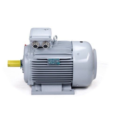 Эл.двигатель ESQ PR 200 LB2-SDN-Б1-S12-IE2 37/3000 IM B3 фото 8