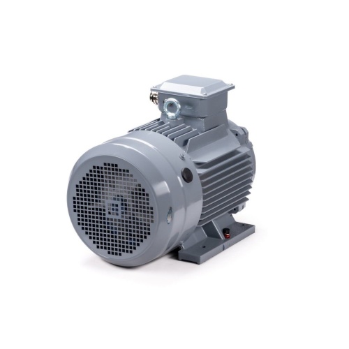Эл.двигатель ESQ PR 160 M6 GST-Б1-S12-IE2 15/1000 IM 1001 фото 6