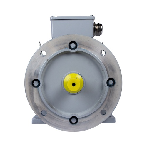 Эл.двигатель ESQ PR 100 LB4-SDN-Б1-S12-IE3 3/1500 IM B35 фото 3