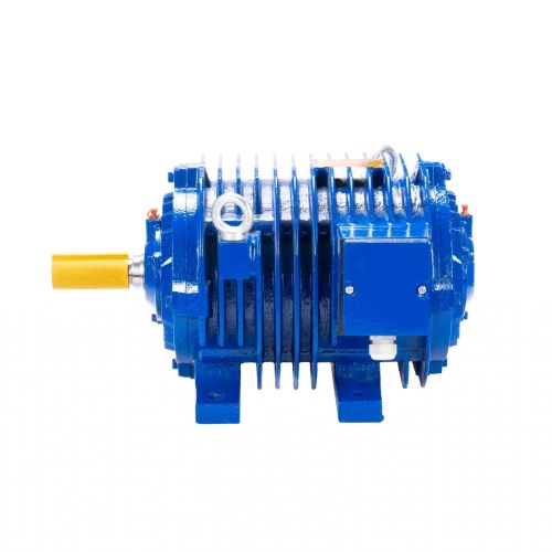 Эл.двигатель 5ARM 64-10 Б1-S3-Н VFD 3/600  IM 1001 фото 10