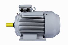 Эл.двигатель ESQ PR 280 S6-SDN-Б1-S12-IE2 45/1000 IM B3