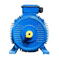 Эл.двигатель 5АИ 355 MLB6 315/1000 IM 1001