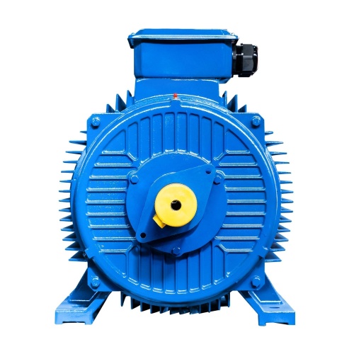 Эл.двигатель 5АИ 355 MLB6 315/1000 IM 1001