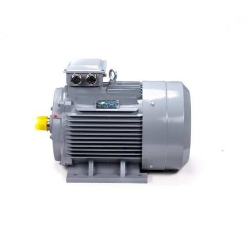 Эл.двигатель ESQ PR 200 L2 GST-Б1-S12-IE2 45/3000 IM 1001 фото 10