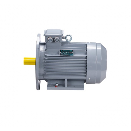 Эл.двигатель ESQ PR 100 L4 GST-Б1-S12-IE2 4/1500 IM 2081 фото 10
