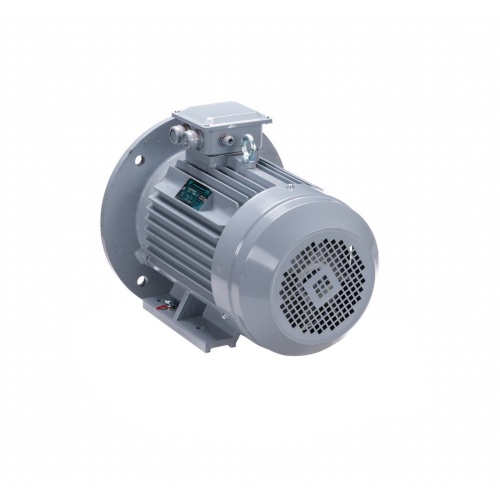 Эл.двигатель ESQ PR 100 L6 GST-Б1-S12-IE2 2.2/1000 IM 2081 фото 8