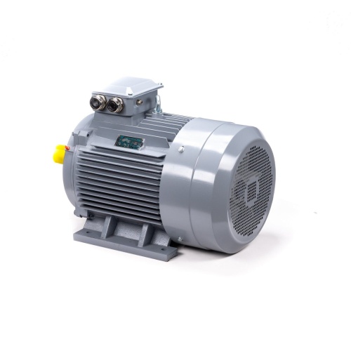 Эл.двигатель ESQ PR 200 L2 GST-Б1-S12-IE2 45/3000 IM 1001 фото 8