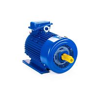 Эл.двигатель 5МТКН 225 М8 30/750  IM 1003