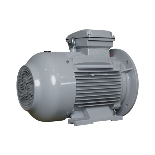 Эл.двигатель ESQ PR 160 L2-SDN-Б1-S12-IE2 18.5/3000 IM B35 фото 5
