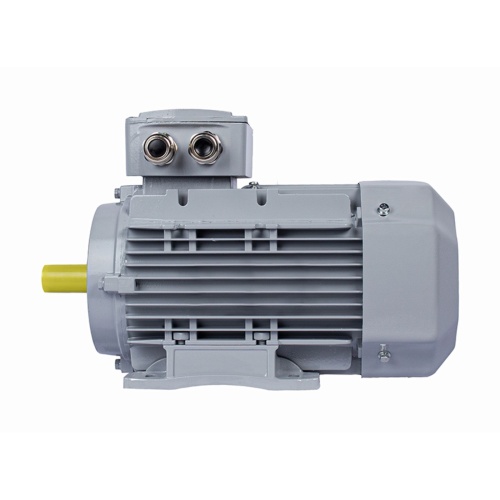 Эл.двигатель ESQ PR 100 LA4-SDN-Б1-S12-IE3 2.2/1500 IM B34 фото 5