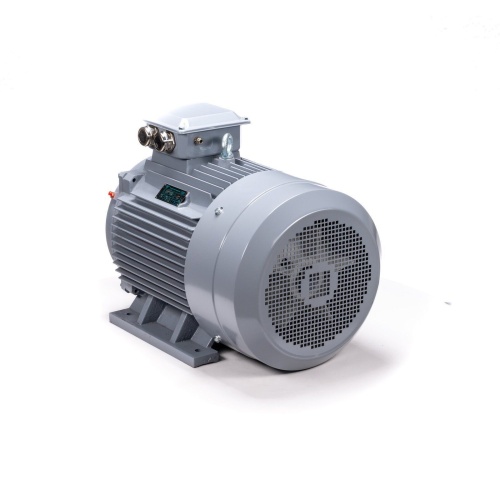 Эл.двигатель ESQ PR 200 L2 GST-Б1-S12-IE2 45/3000 IM 1001 фото 9