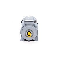 Эл.двигатель ESQ PR 80 В4 GST-Б1-S12-IE2 1.5/1500 IM 1081